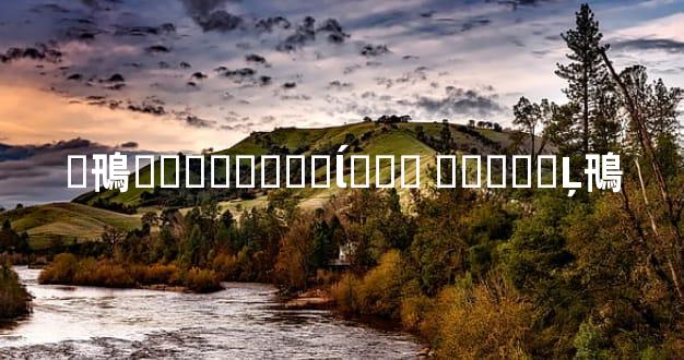 �鳵�Լ۱���Ըߵĺ��� �Լ۱ȸߵĻ鳵